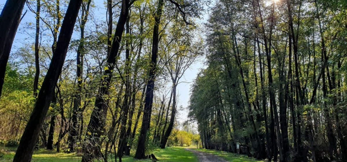 Parco della Vernavola, Pavia